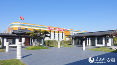 构成分歧气概的别